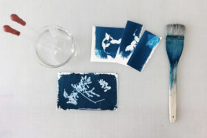 tirage en cyanotype, blue print, atelier, formation art imprimé